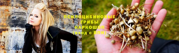 сатива Алексин