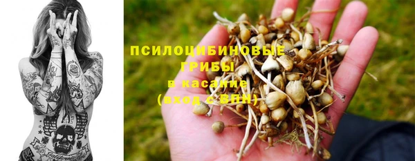 сатива Алексин