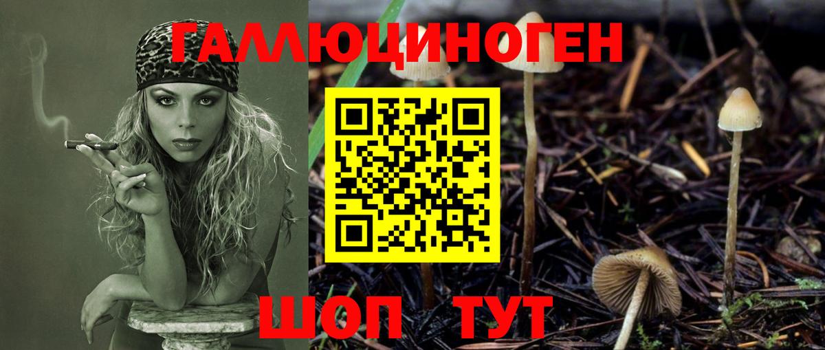 Североуральск  Псилоцибиновые грибы ЛСД  купить закладку  Вход с VPN  Псилоцибиновые грибы Psilocybine cubensis 